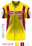 ACIT Baseball
